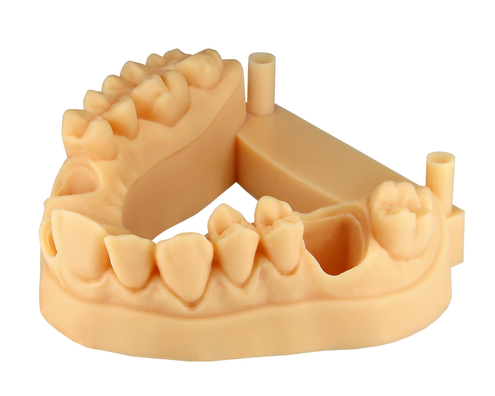 Зд зуб. ENVISIONTEC Ultra 3sp Ortho. 3d принтер стоматологический. 3d Printing Dental ОФЦ. 3д принтер для протезов в стоматологии.