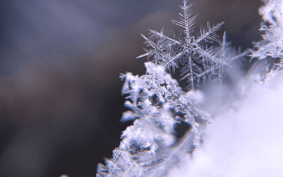 Professional Jeweller Kicks Off “12 Days of Dazzle” with GVUK in the Spotlight