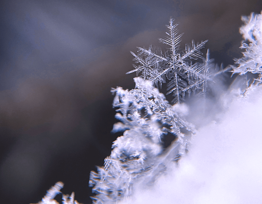 12 Days to Dazzle 12 Days to Dazzle